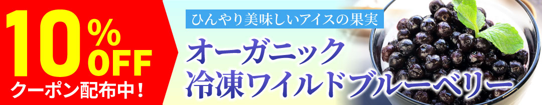 ブルーベリー