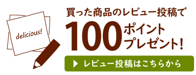 レビュー投稿で100ポイントプレゼント