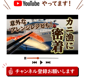 Youtubeやってます