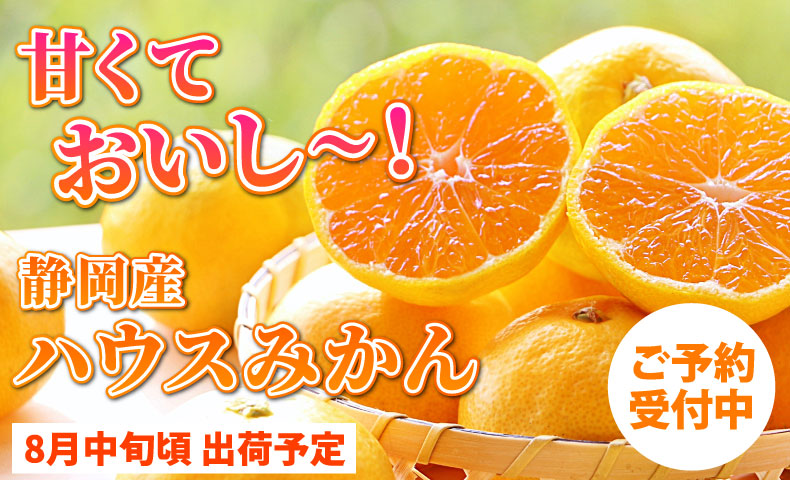 ハウスみかん