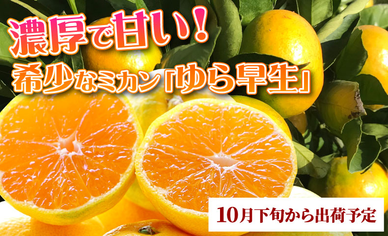ゆら早生みかん