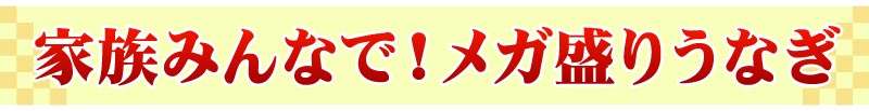 メガ盛り
