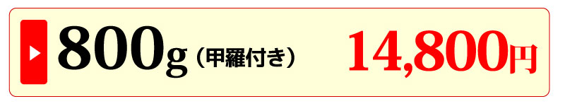 すっぽん鍋800g