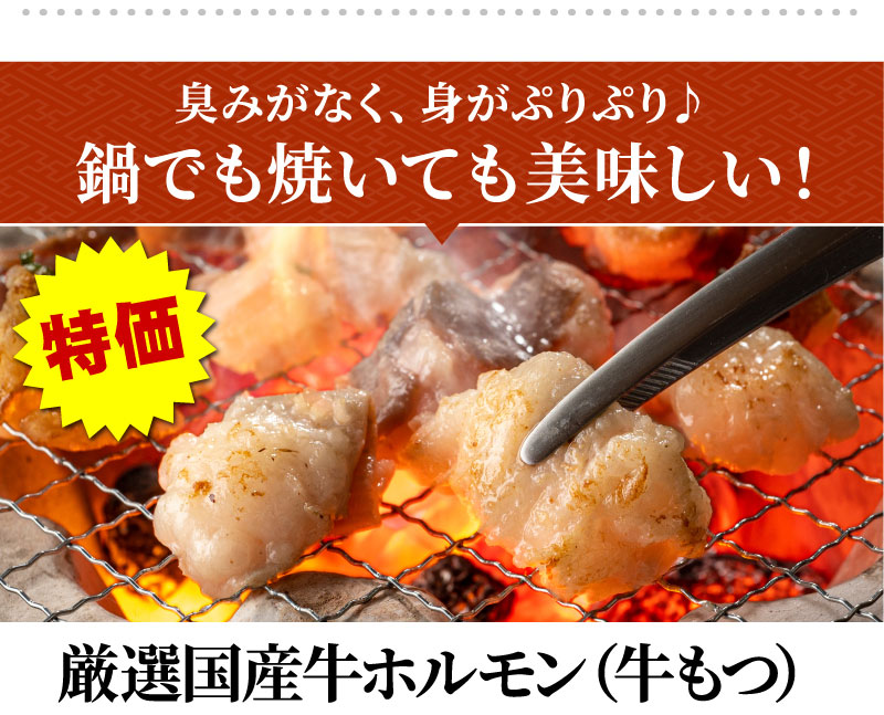 国産牛もつ