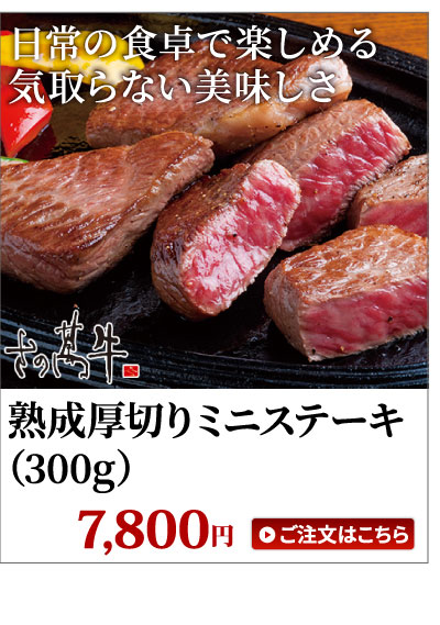 ミニステーキ