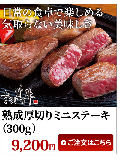 ミニステーキ