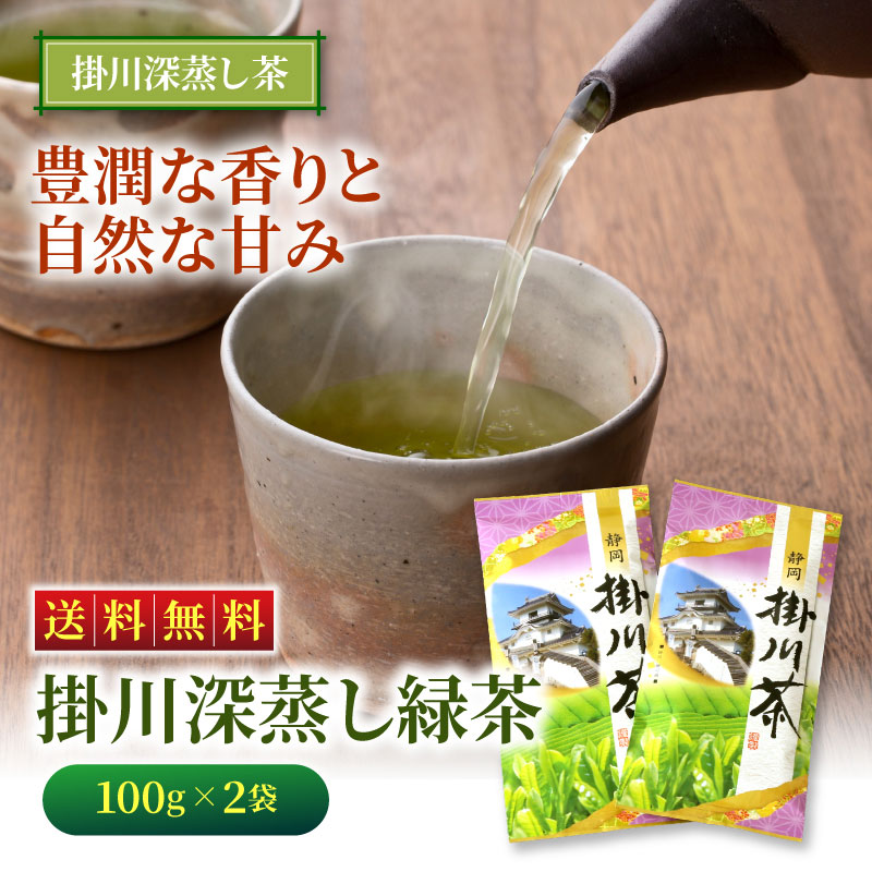 海外 緑茶 2022年度産 〔予約〕お茶 静岡茶 掛川茶100g×10