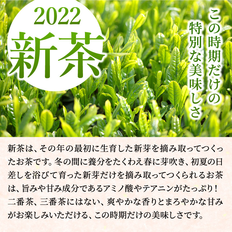 最大88％オフ！ 静岡茶名産地シリーズ 2022特上新茶 生粋川根茶