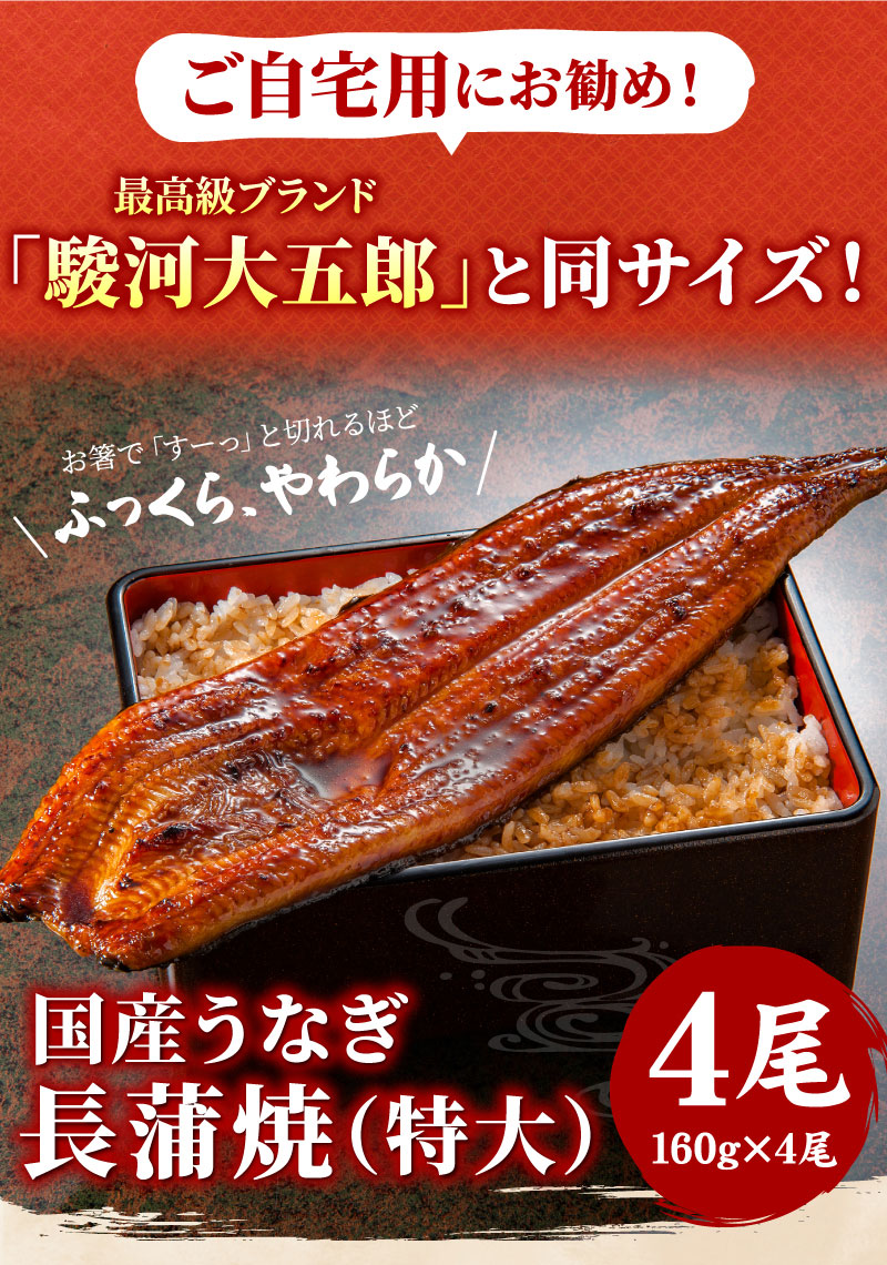 国産うなぎ長蒲焼（特大）4尾