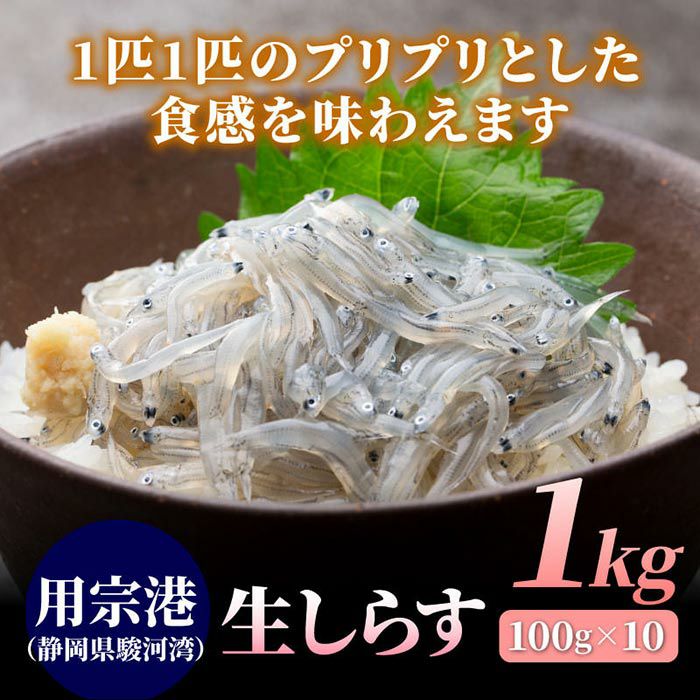 市場 送料無料 生しらす５００ｇ １００ｇ×５ 静岡県産