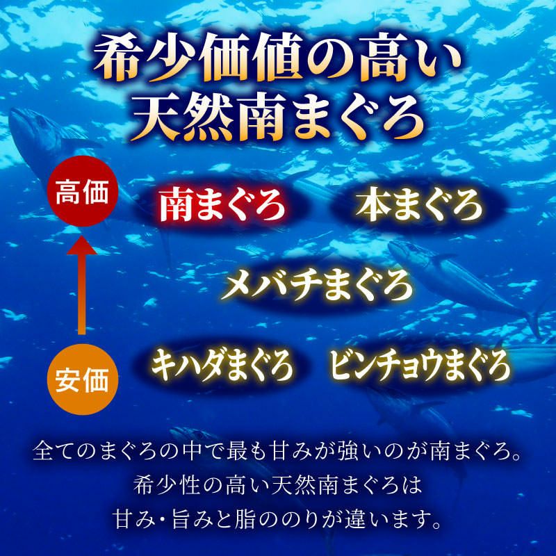 天然南マグロ 赤身 不定形柵1kg│ミナミマグロのお取り寄せなら静岡産直どっとこむ