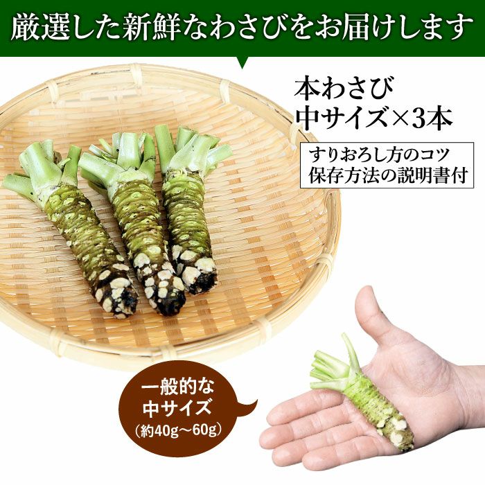 農家直送☆伊豆産　本わさび　300g【市場規格品】3〜4本程度 山口 晃宏 l 【公式】 うまちょく便 | 静岡・山梨名物・特産品を