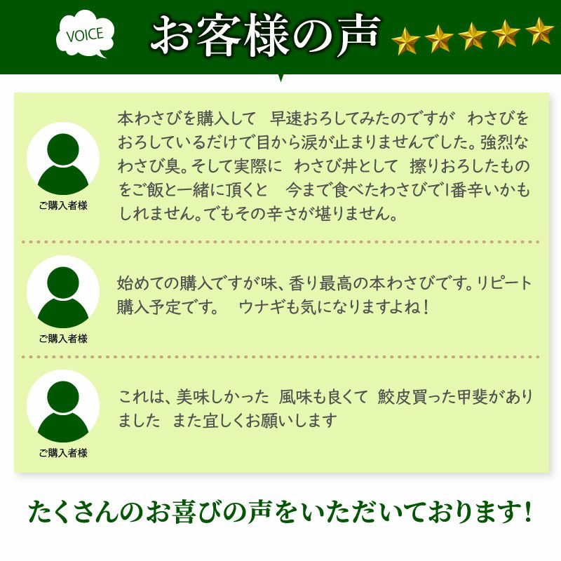 農家直送☆キズあり　本わさび　500g わさび栽培発祥の地「有東木」の本わさび 中サイズ1本とさめ吉