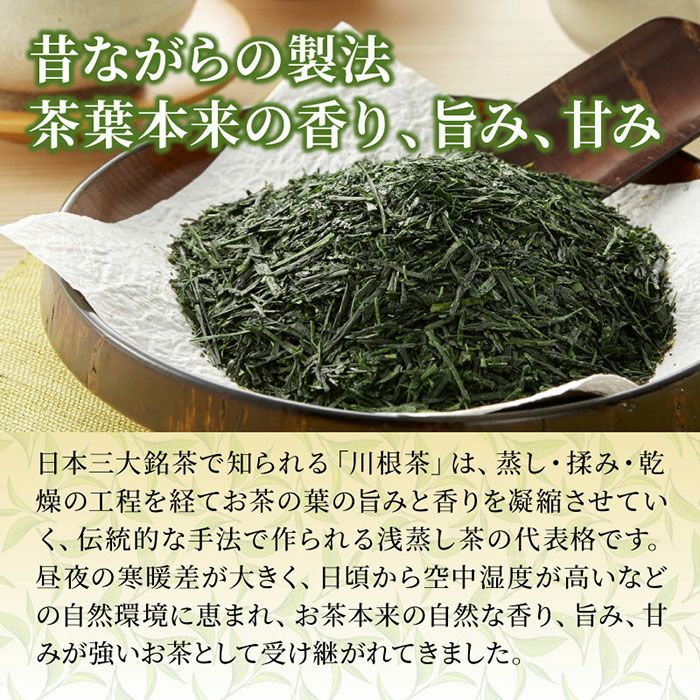 【浅蒸し茶】静岡茶 川根茶（平袋入り）100g×2 | 静岡産直どっとこむ