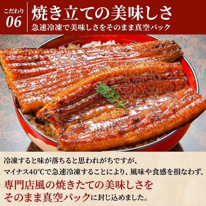 国産うなぎ 長蒲焼2尾セット【ギフトボックス】 | 国産うなぎのお 