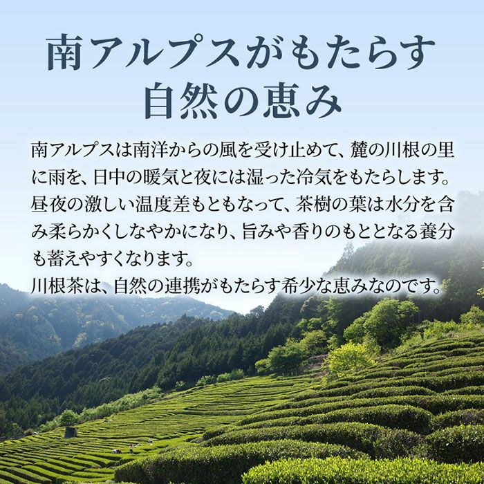 古*径様 川根茶〔川根町笹間上〕在庫一掃販売2.7キロ分 爆売り！ 川根茶〔川根町笹間上〕在庫一掃販売2.7キロ分
