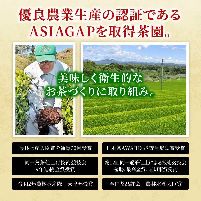 掛川深蒸し緑茶（紫）お徳用＜100g×6袋＞ | 大五グルメセレクション（静岡産直どっとこむ）