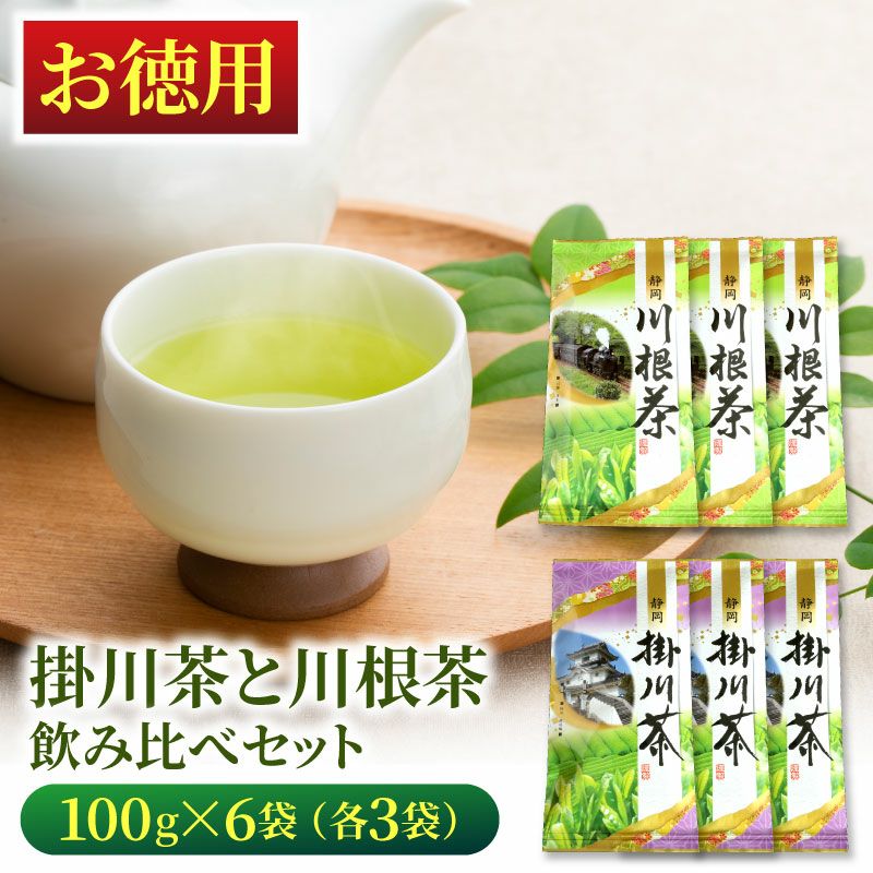 まとめ）丸山製茶 深蒸 掛川茶 100g 袋 1セット（3袋） - 茶葉・ティー