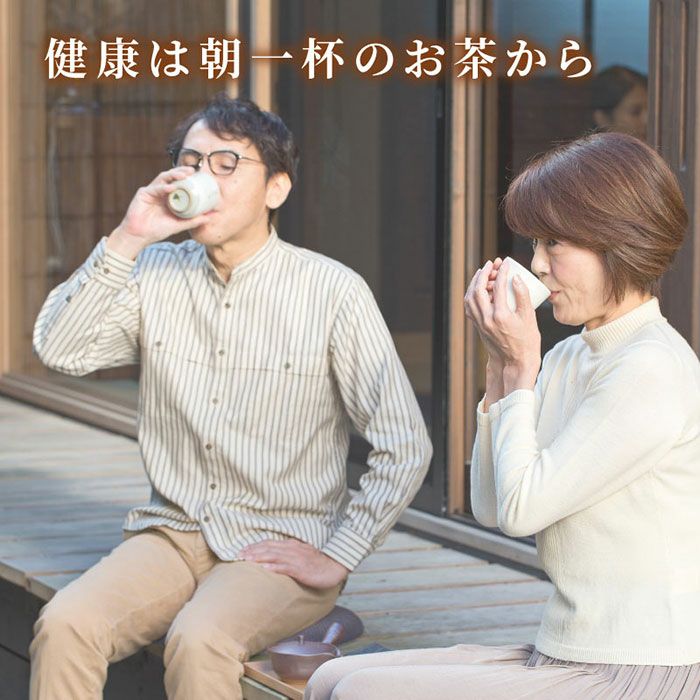 お徳用 静岡茶 川根茶 （100g×12袋） | 大五グルメセレクション