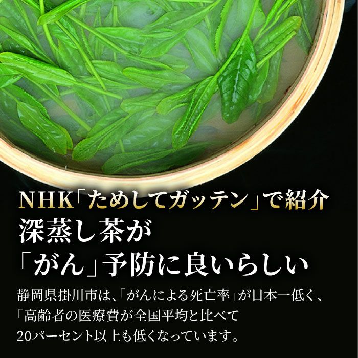 【お徳用12袋入り】飲み比べセット 深蒸し・掛川茶と浅蒸し・川根茶 ＜各100g×6袋＞ | 静岡産直どっとこむ