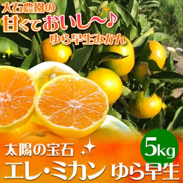 静岡県産 ゆら早生 5kg 極早生みかん みかんのお取り寄せ 大五