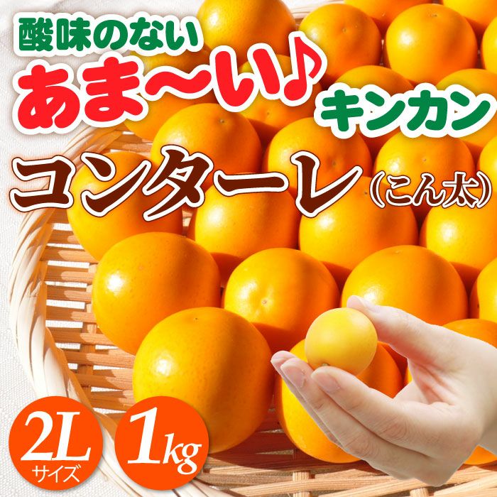 静岡県産きんかん コンターレ（こん太） 2Lサイズ 1kgセット | 大五