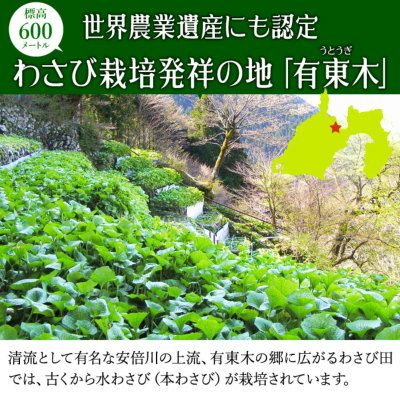 わさび栽培発祥の地「有東木」の本わさび 中サイズ1本とさめ吉