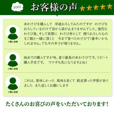 わさび栽培発祥の地「有東木」の本わさび 中サイズ1本とさめ吉