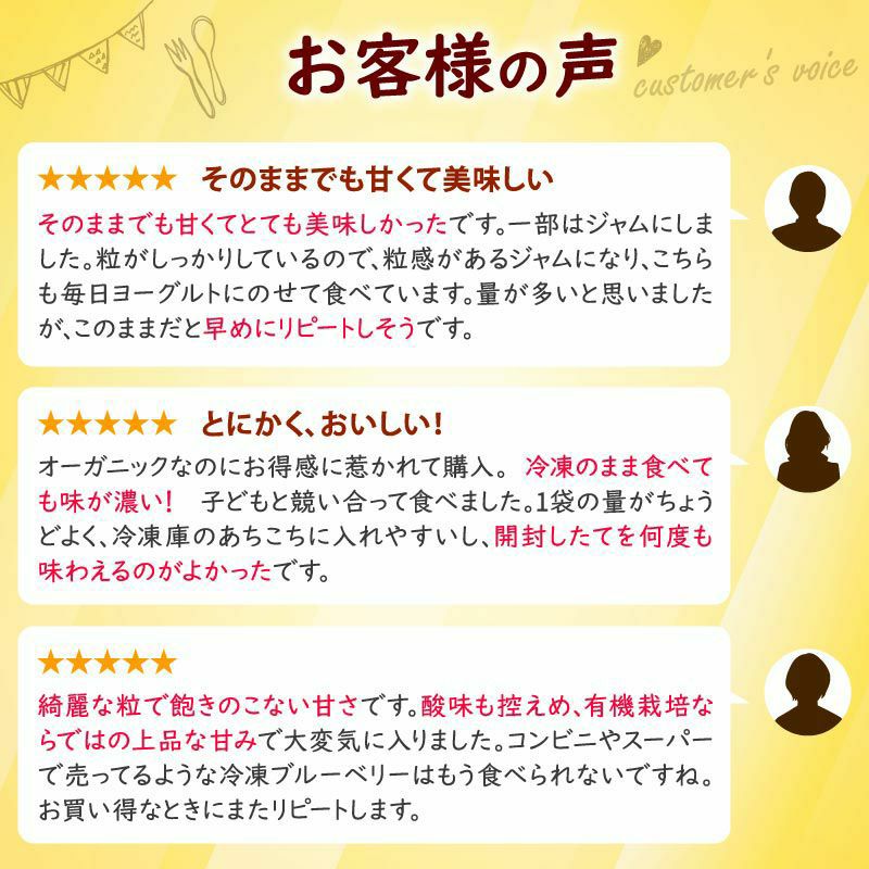 冷凍オーガニックブルーベリー3kg（200g×15パック） | 大五