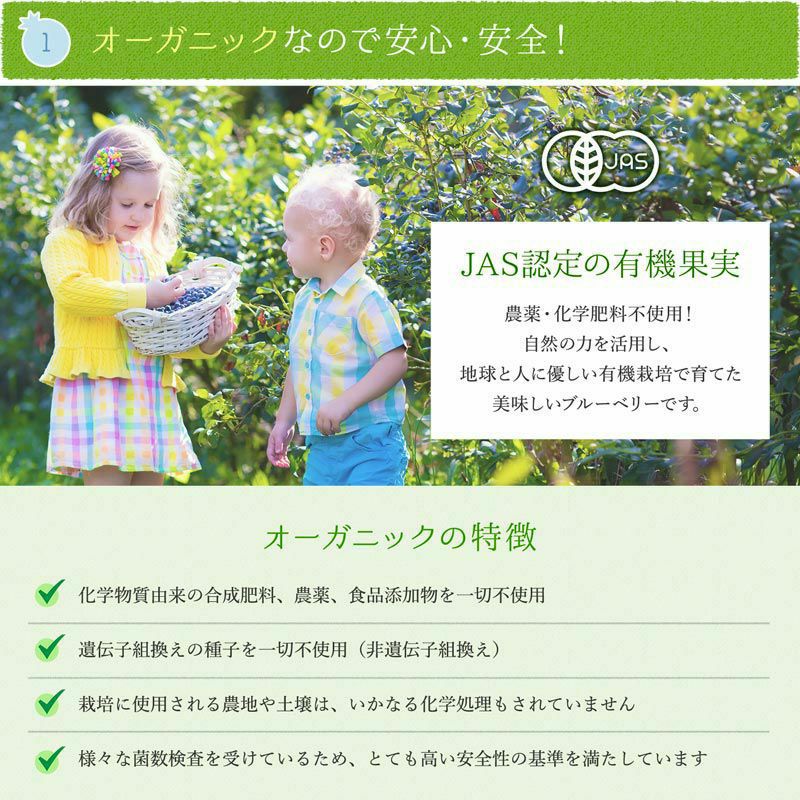 安心安全。ブルーベリー3キログラム、朝摘み午後発送 Amazon | オーガニック 冷凍 ブルーベリー 3kg（200g×15パック