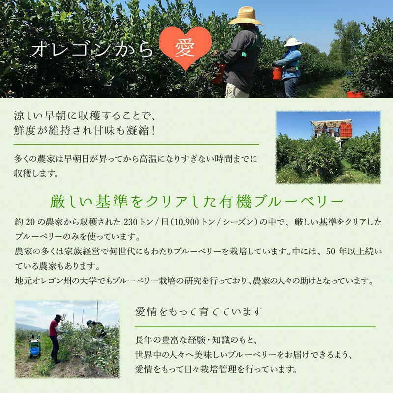 冷凍オーガニックブルーベリー3kg（200g×15パック） | 大五