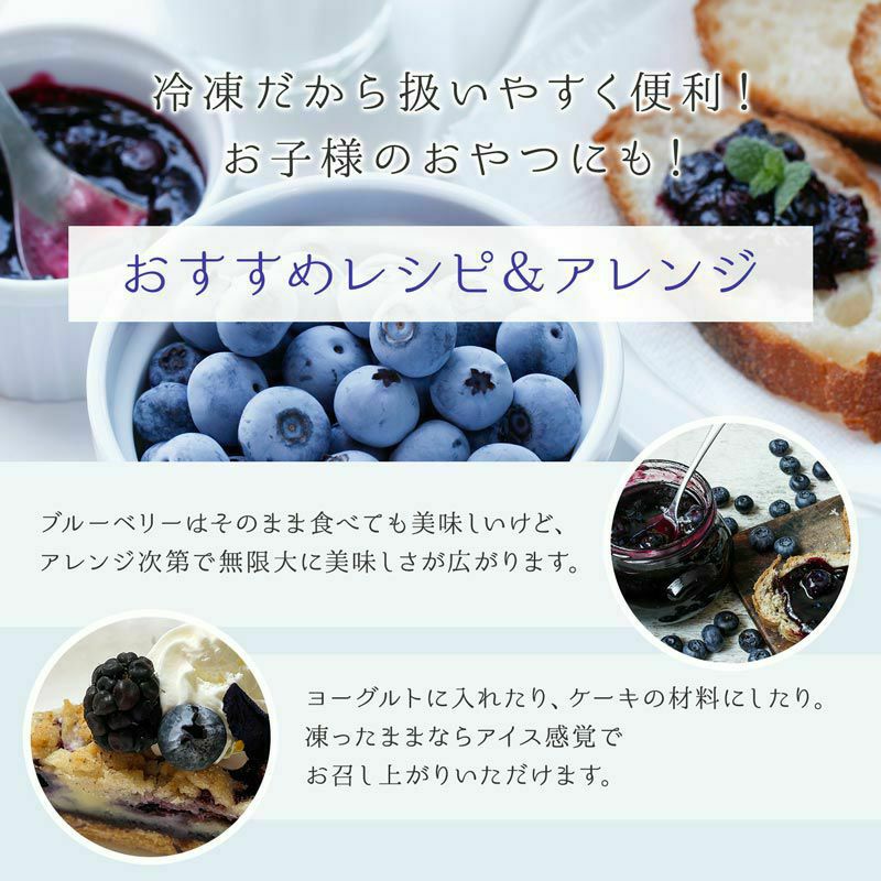 三昧（ざんまい）冷凍ブルーベリー4kg 冷凍オーガニックブルーベリー3kg（200g×15パック） | 大五