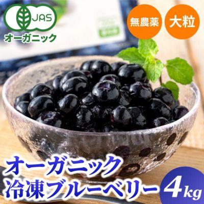 冷凍オーガニックブルーベリー3kg（200g×15パック） 無農薬 【業務用 ...