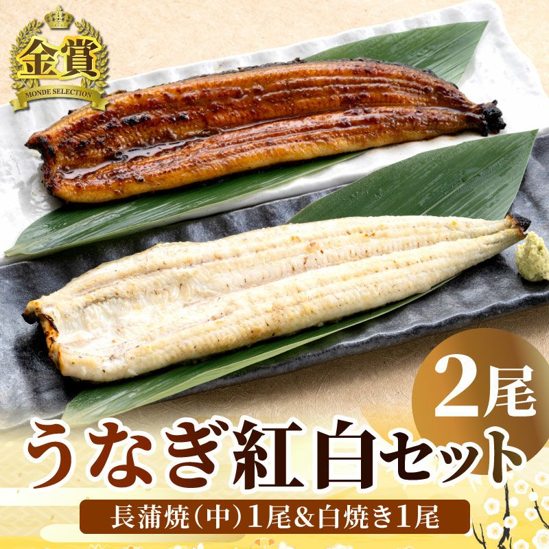 うなぎ紅白2尾セット【国産うなぎ長蒲焼(中)＆白焼き 各1尾】 | 大五グルメセレクション