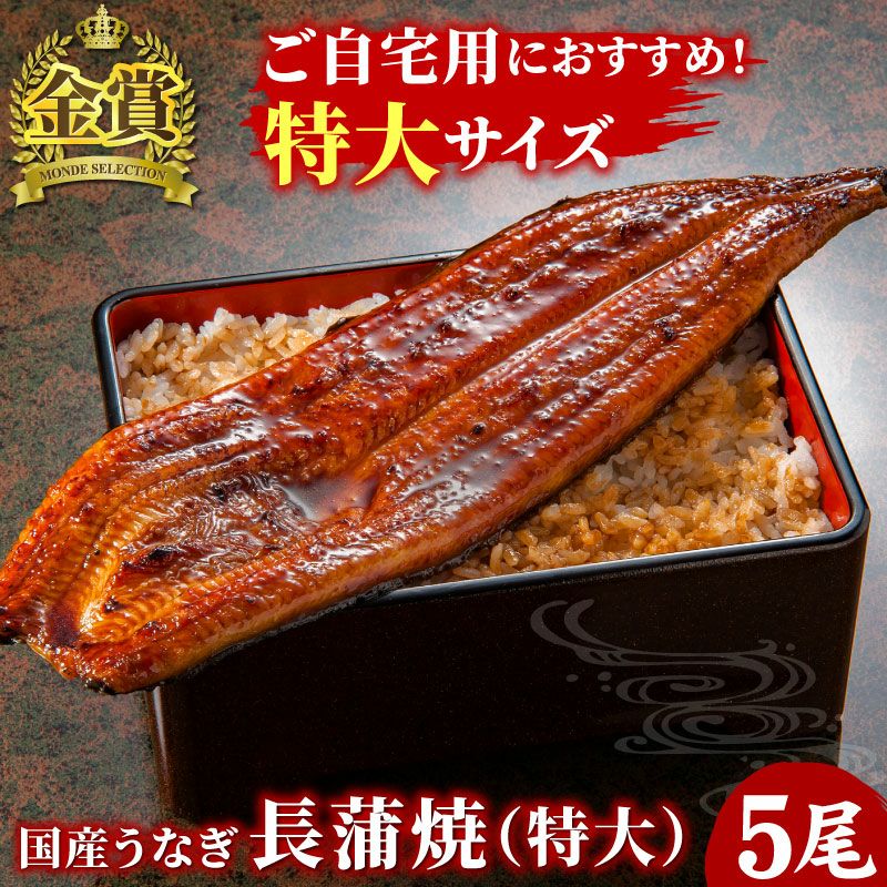 国産うなぎ 長蒲焼(特大) 5尾セット ご自宅用簡易箱 | 大五グルメ